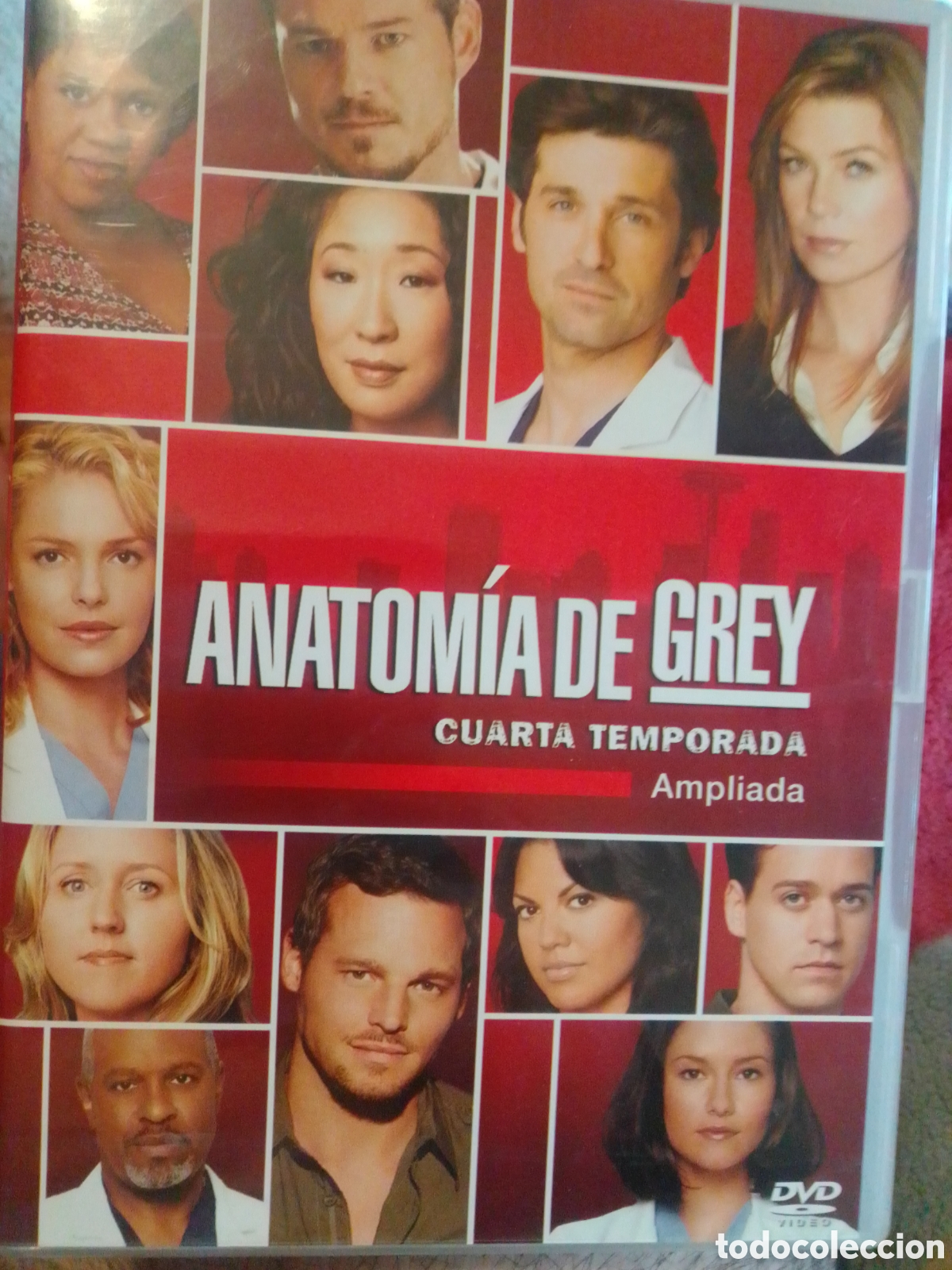 Series de TV: Anatomia de Grey cuarta temporada - Foto 1