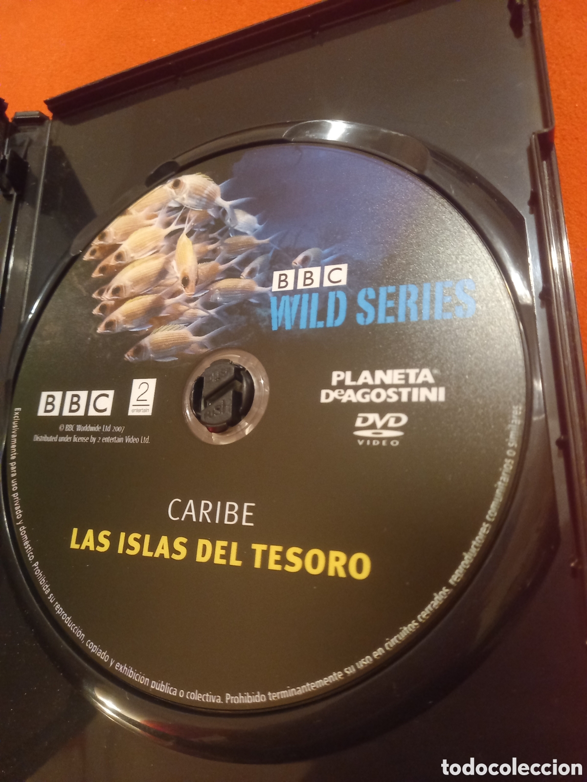 Series de TV: Dos DVD de la colecci&oacute;n de la BBC Wild Series. - Foto 4