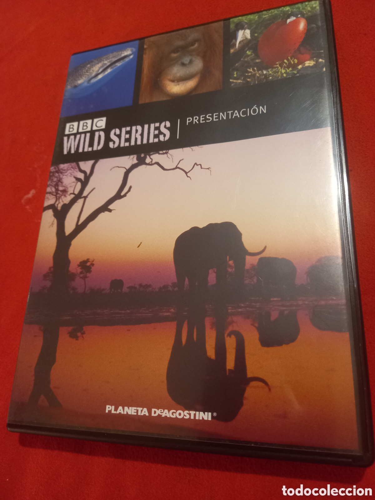 Series de TV: Dos DVD de la colecci&oacute;n de la BBC Wild Series. - Foto 5