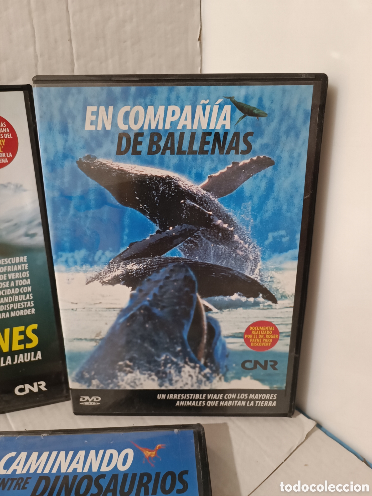 Series de TV: DVDs documentales CNR BBC - Foto 2