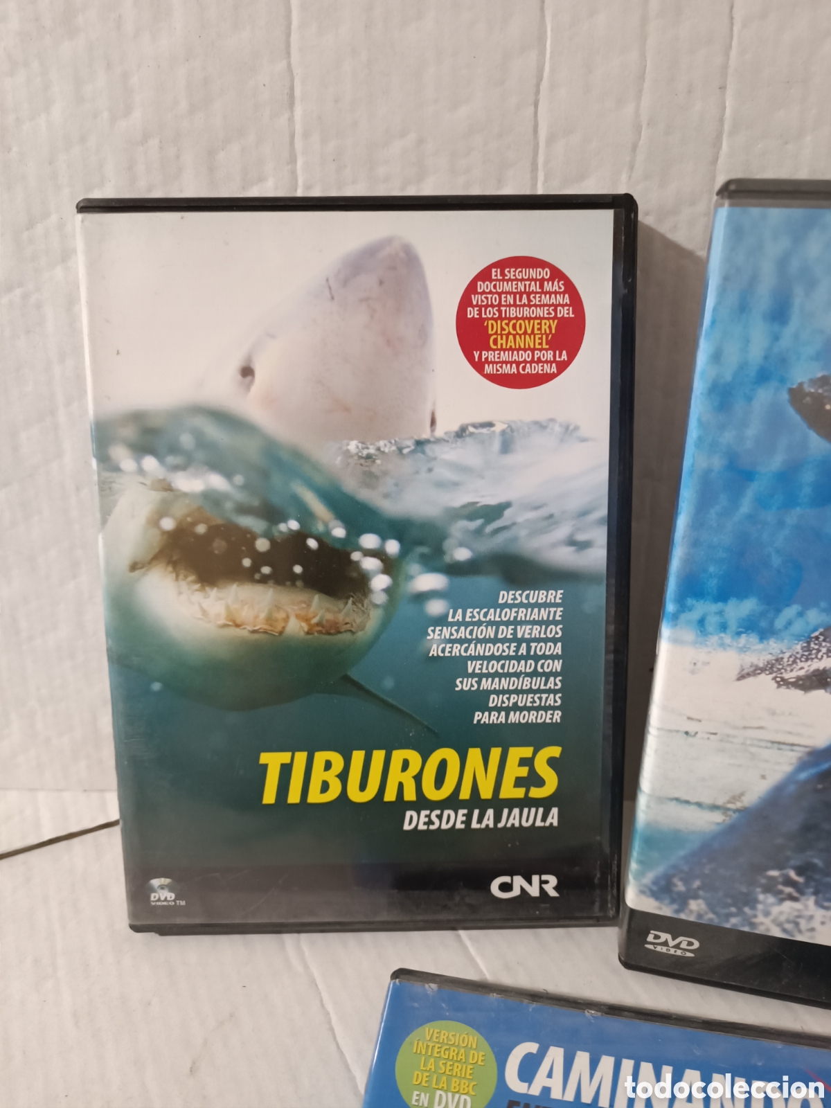 Series de TV: DVDs documentales CNR BBC - Foto 3