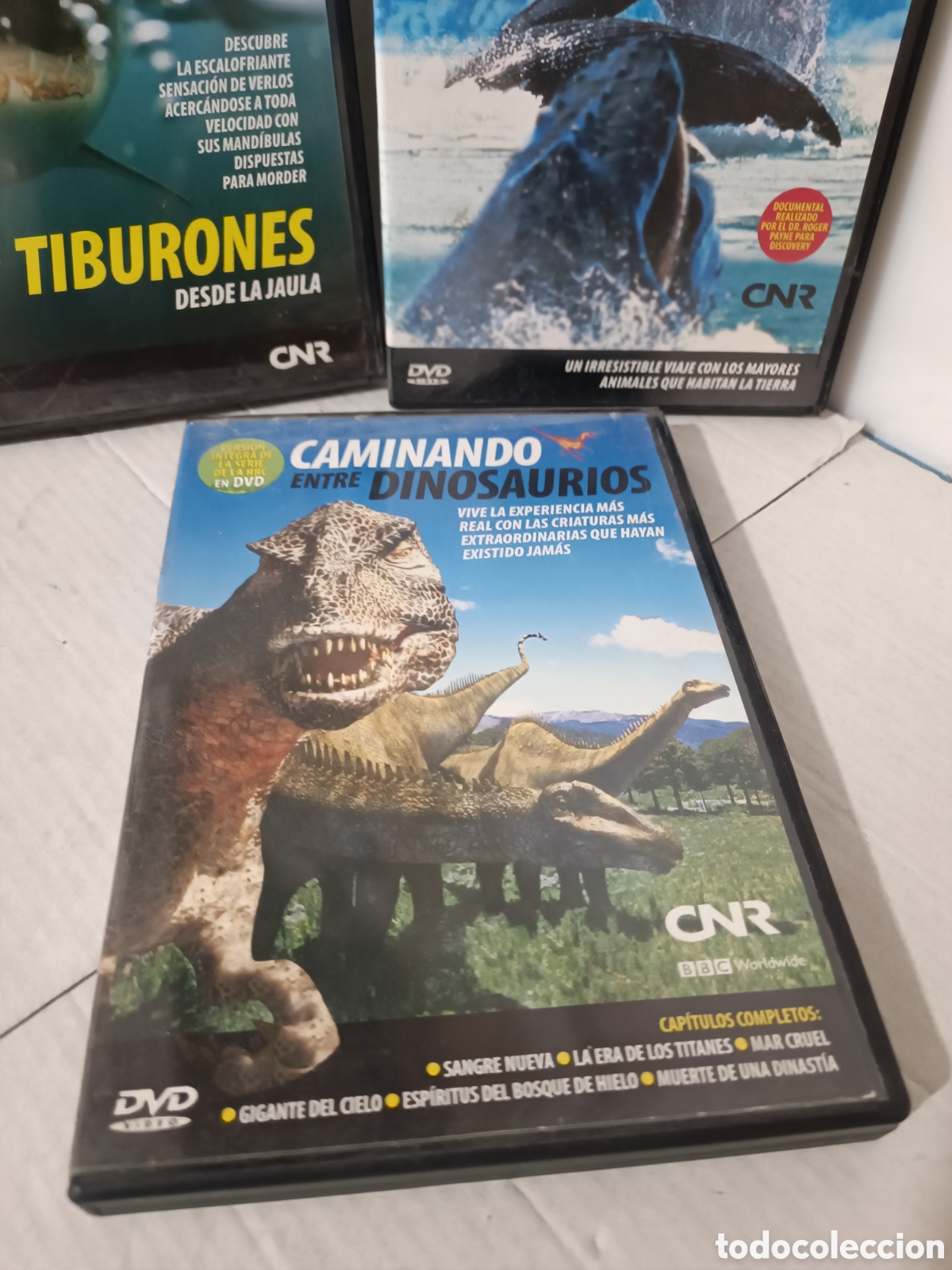 Series de TV: DVDs documentales CNR BBC - Foto 4