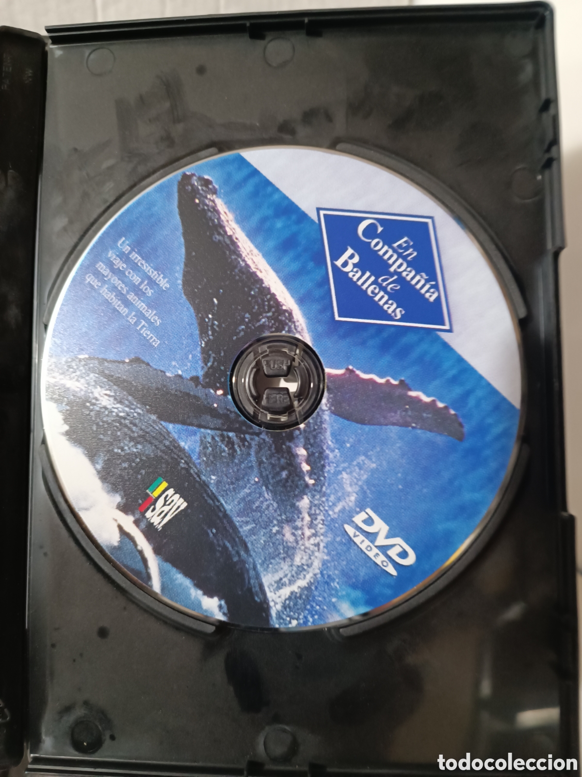 Series de TV: DVDs documentales CNR BBC - Foto 8