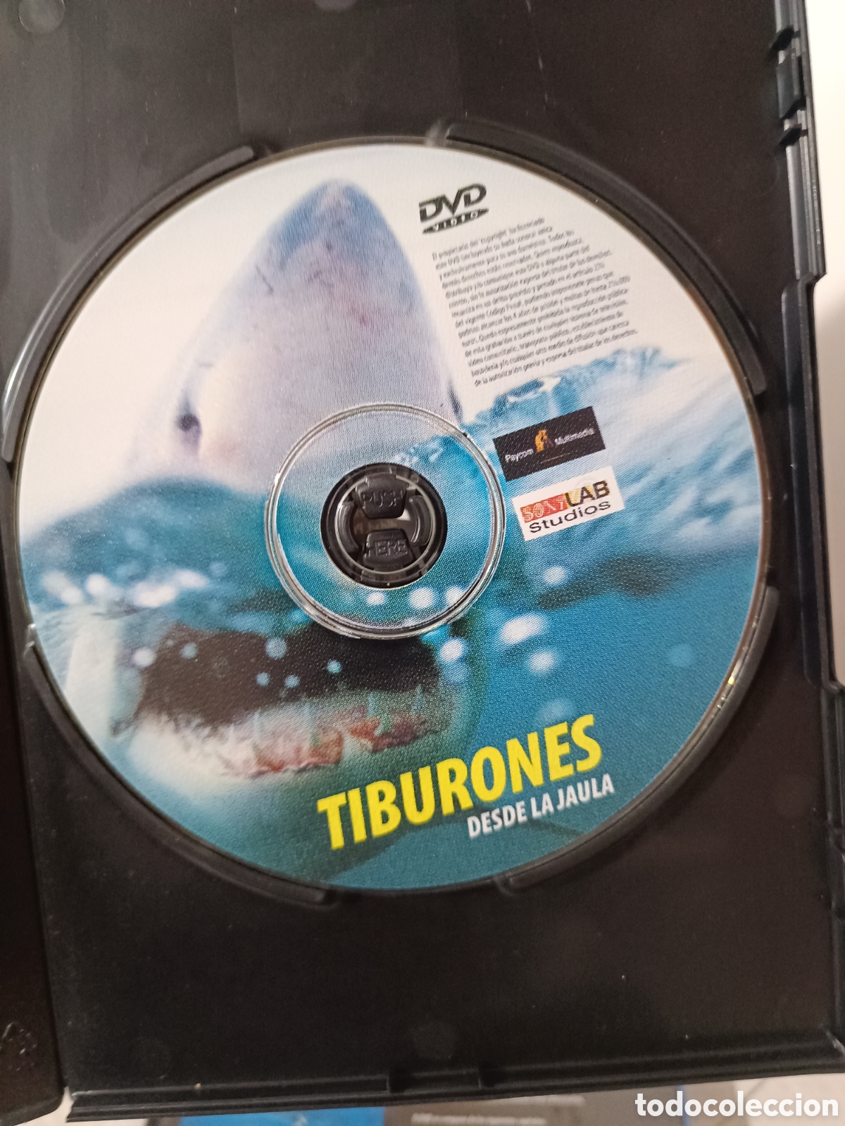 Series de TV: DVDs documentales CNR BBC - Foto 9