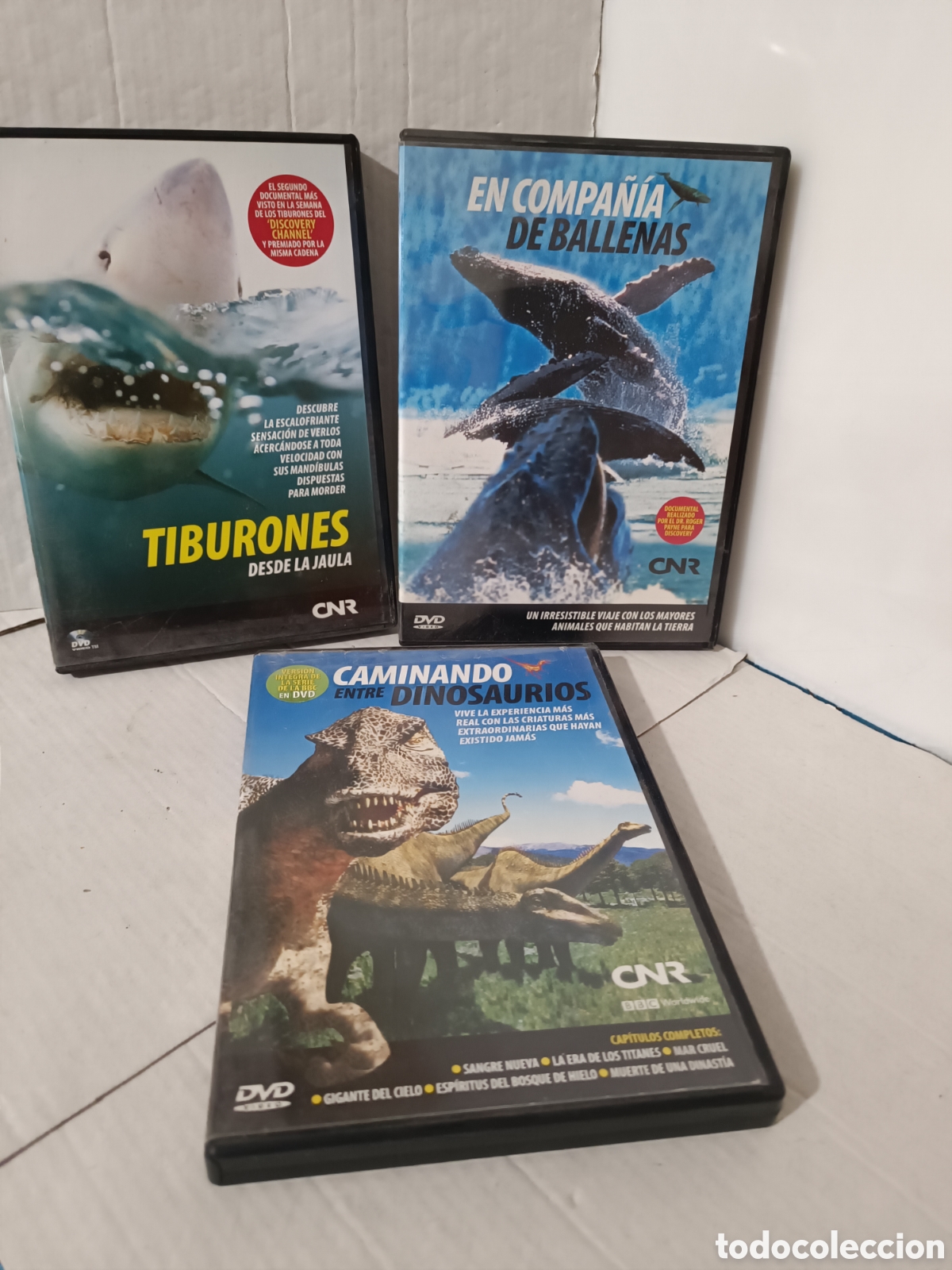 Series de TV: DVDs documentales CNR BBC - Foto 1