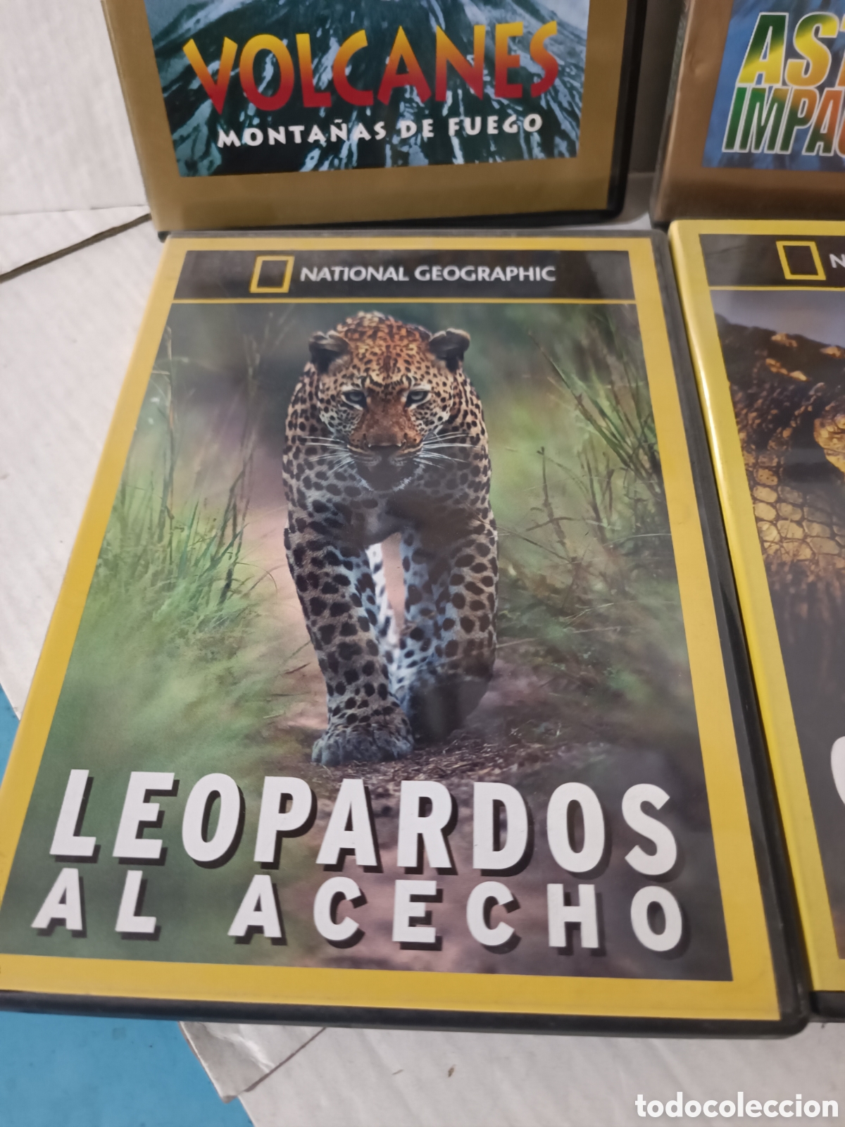 Series de TV: DVDs documentales nacional geographic - Foto 4