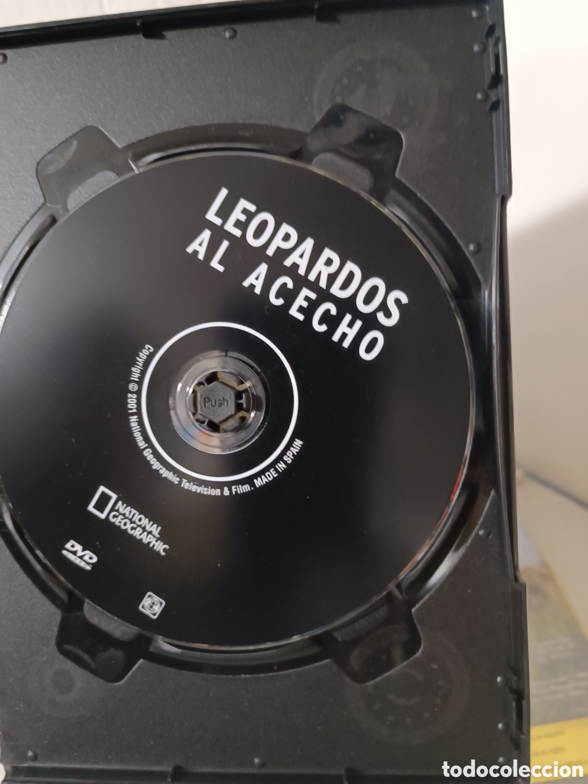 Series de TV: DVDs documentales nacional geographic - Foto 13
