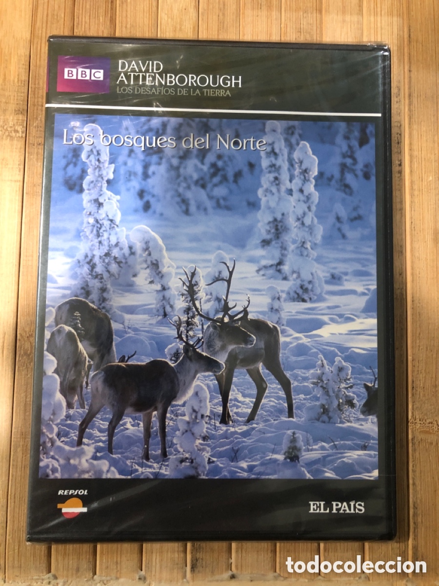 Series de TV: Los Bosques del Norte DVD SLIM PRECINTADO - Foto 1