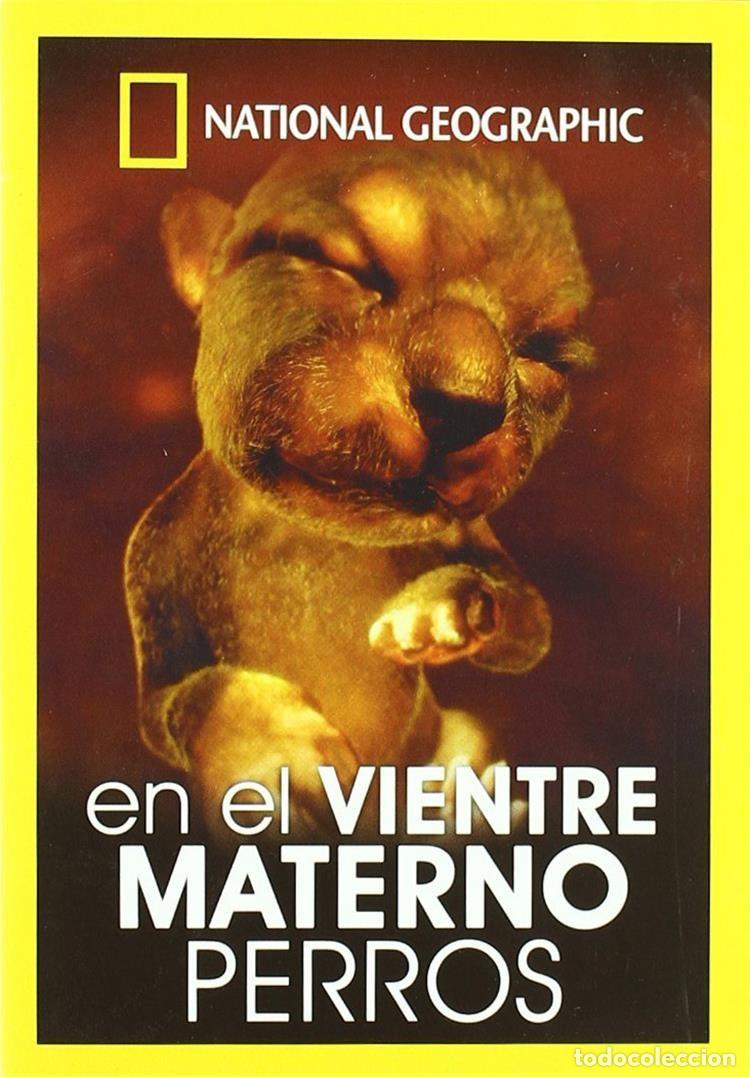 Fernsehserien: En el Vientre Materno: Perros (National Geographic)