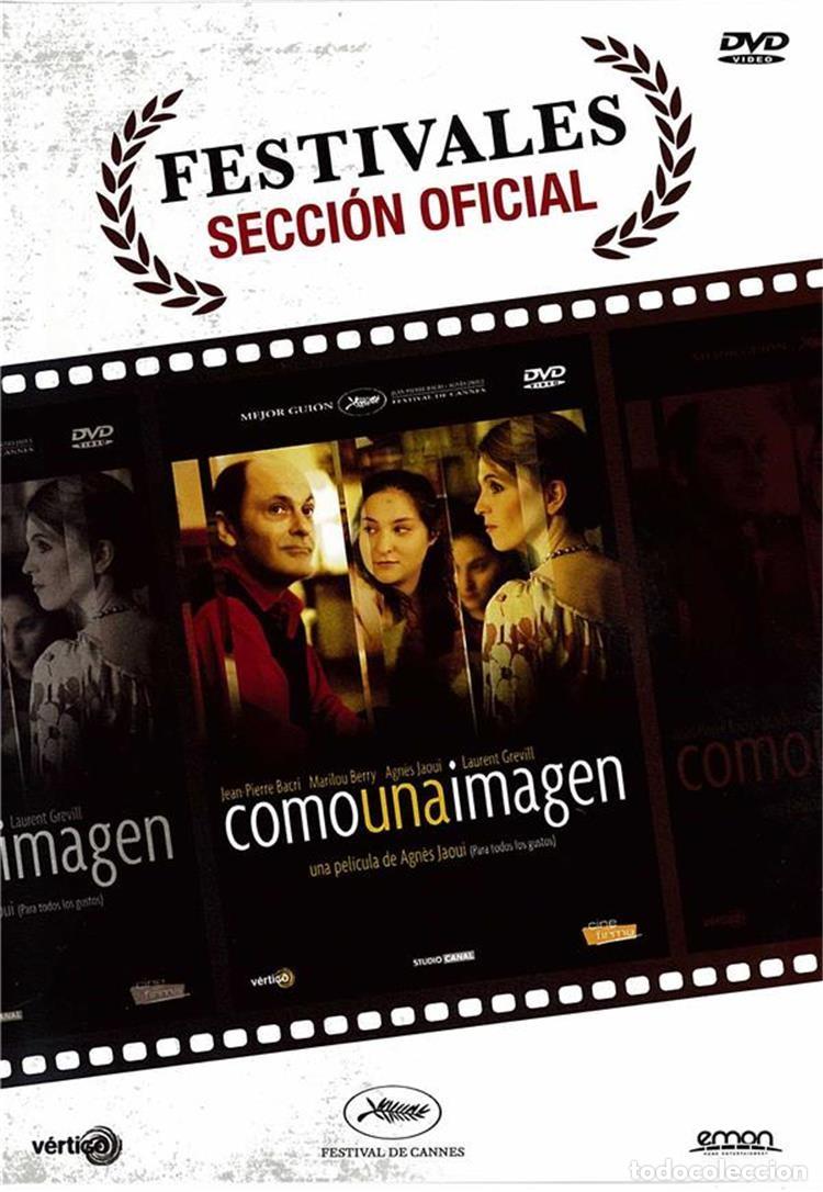S&eacute;ries TV: Como Una Imagen (Comme Une Image)
