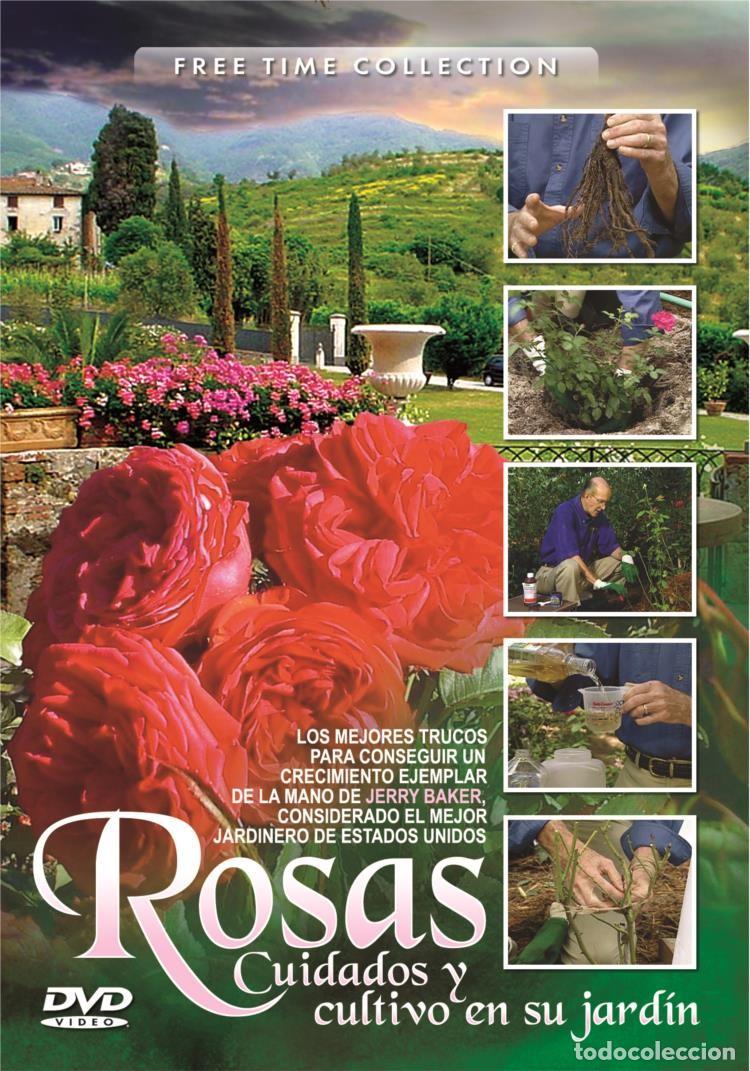 Fernsehserien: Rosas - Cuidados Y Cultivo En Su Jardin (Free Time Collection)