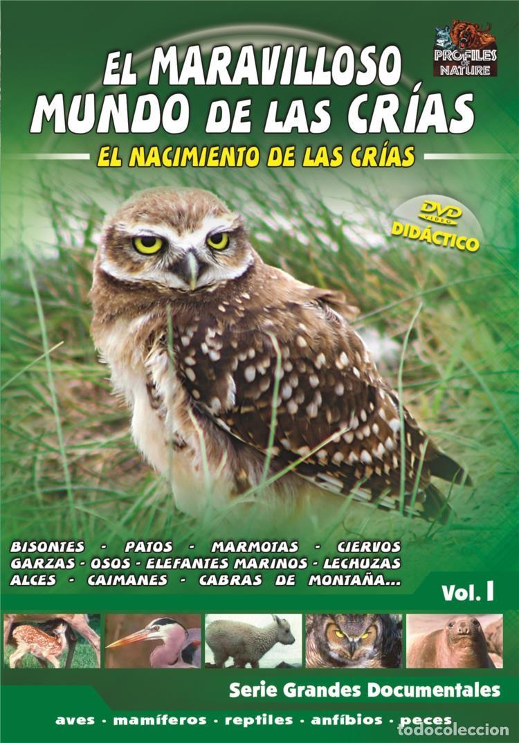 Fernsehserien: El Maravilloso Mundo De Las Crias - El Nacimiento De Las Crias Vol.1
