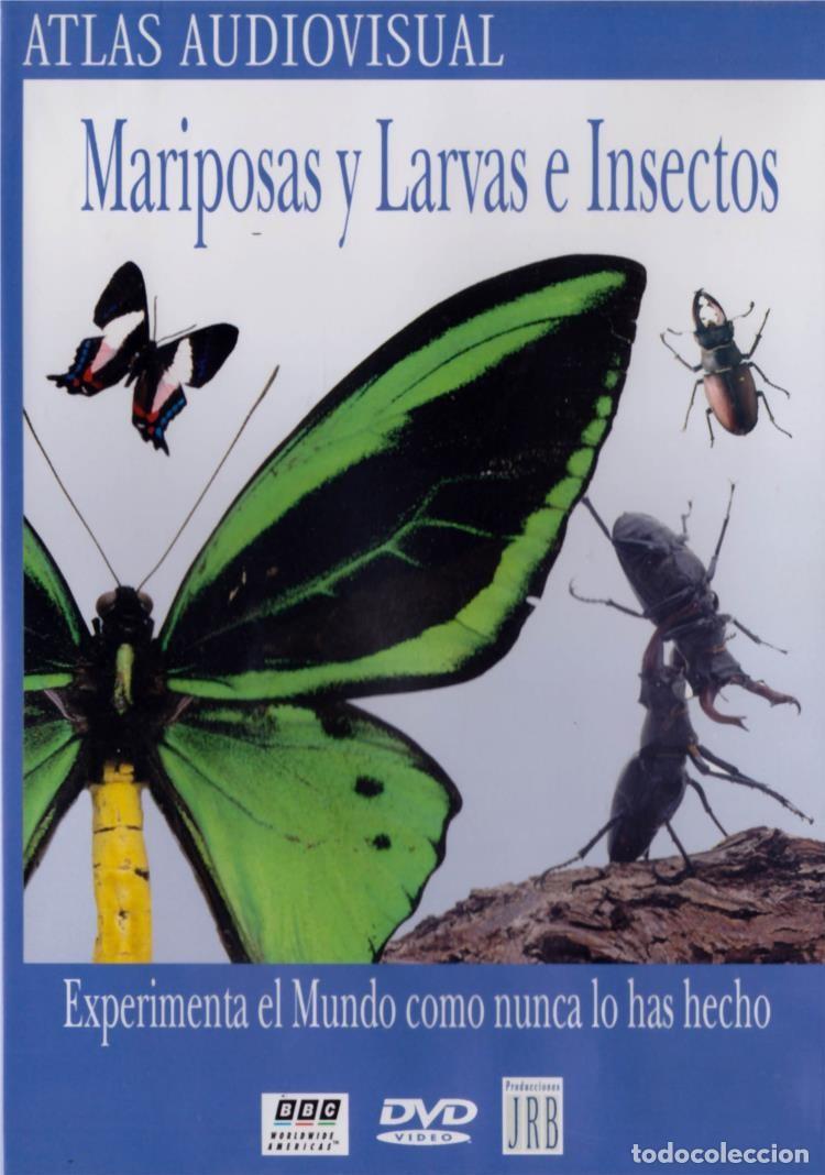 S&eacute;ries TV: Mariposas Y Larvas E Insectos