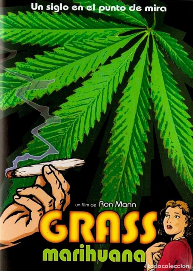 Series de TV: Grass (Marihuana) - Foto 1