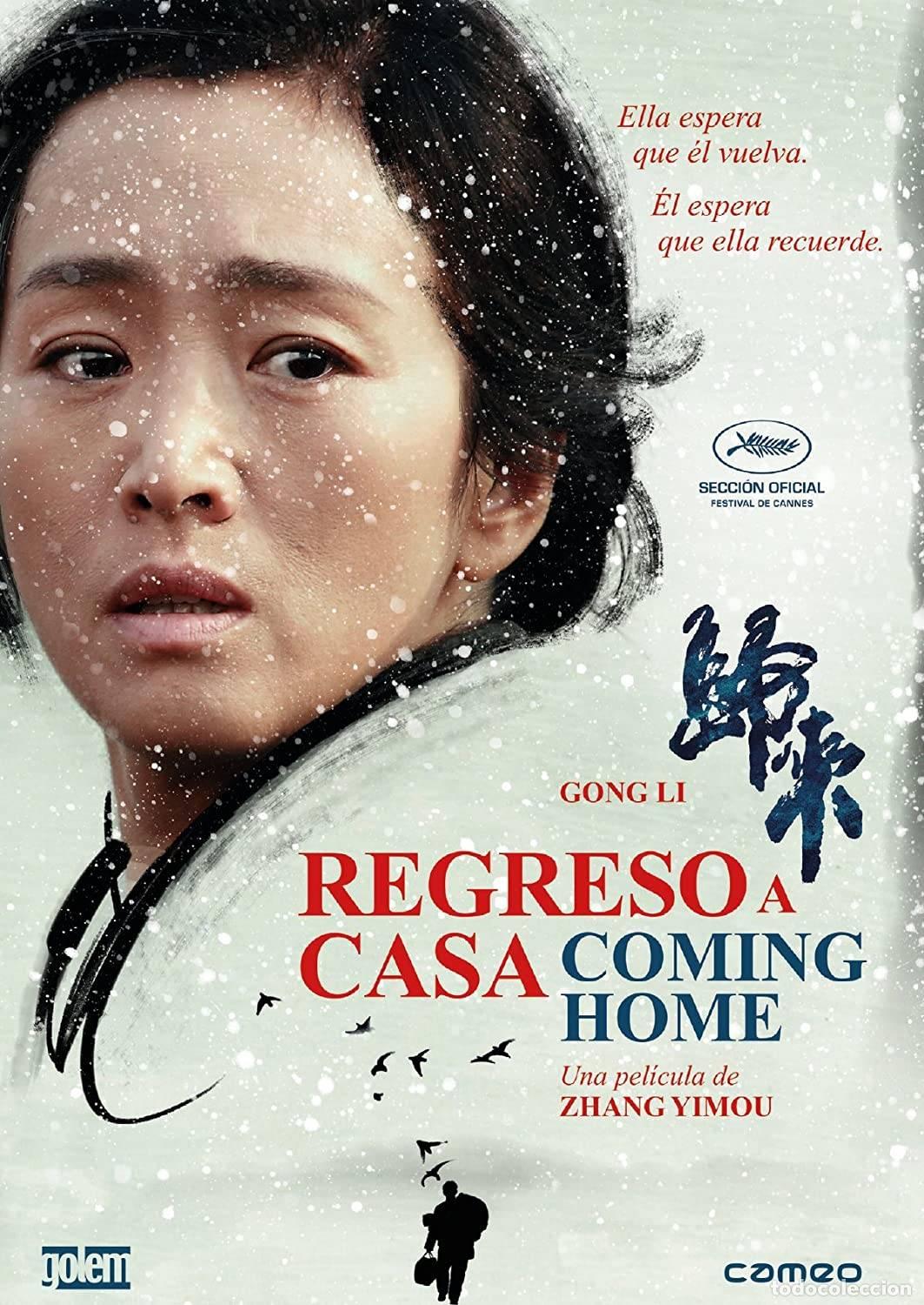 Series de TV: Regreso a casa (Gui lai) - Foto 1