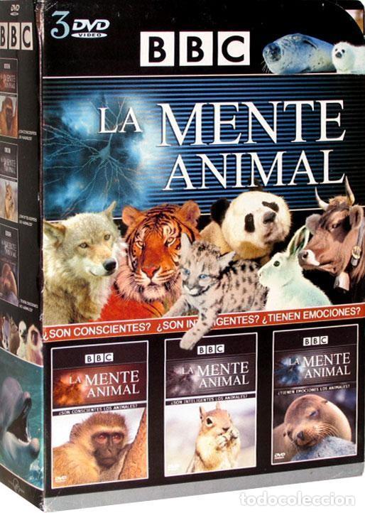 Series de TV: La Mente Animal - Foto 1