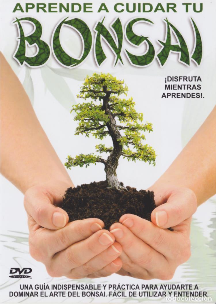 Series de TV: Aprende A Cuidar Tu Bonsai - Foto 1