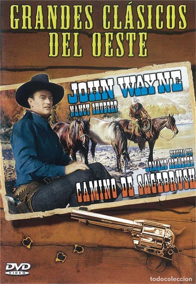 S&eacute;ries de TV: camino de Sagebrush (Sagebrush Trail)