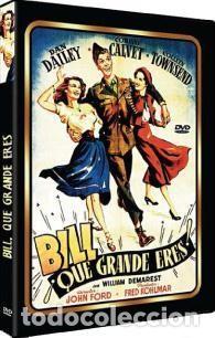 Series de TV: Bill, que grande eres (When Willie Comes Marching Home) - Foto 1