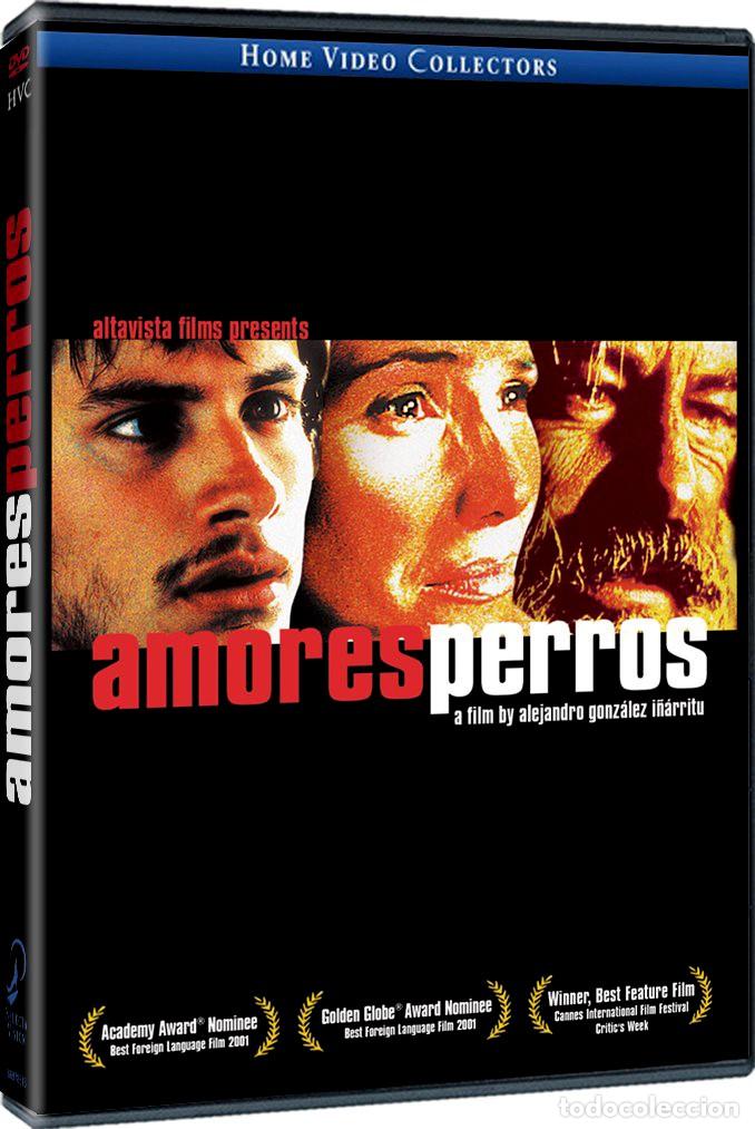 Series de TV: Amores Perros - Foto 1