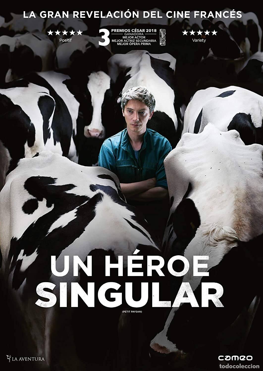 Series de TV: Un heroe singular (Petit paysan) - Foto 1
