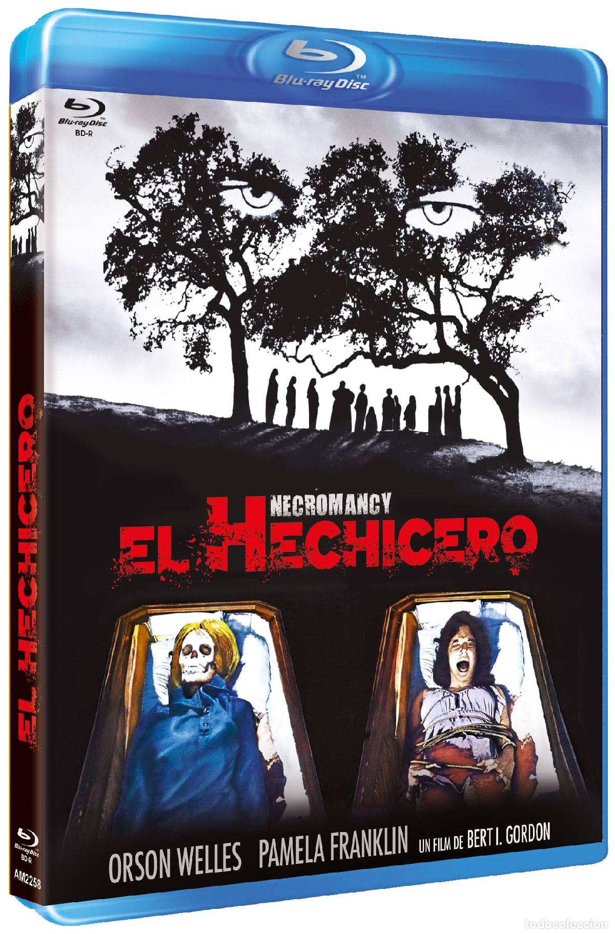 Series de TV: El hechicero (Bd-R) (Blu-ray) (Necromancy (A.K.A. The Witching))