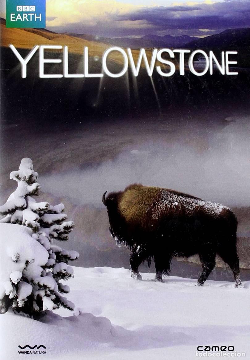 Series de TV: Yellowstone - Foto 1