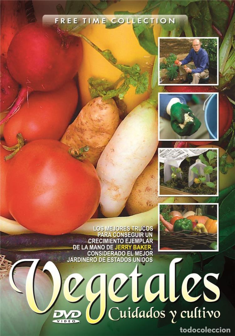 Fernsehserien: Vegetales - Cuidados Y Cultivo En Su Jardin (Free Time Collection)