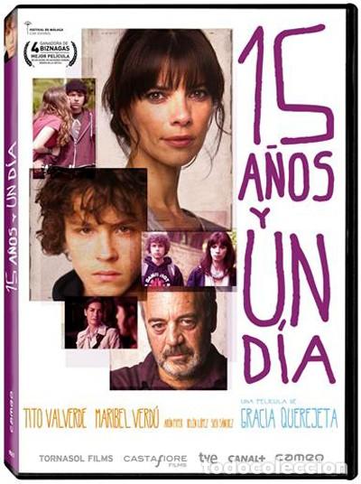 Series de TV: 15 a&ntilde;os y un d&iacute;a - Foto 1