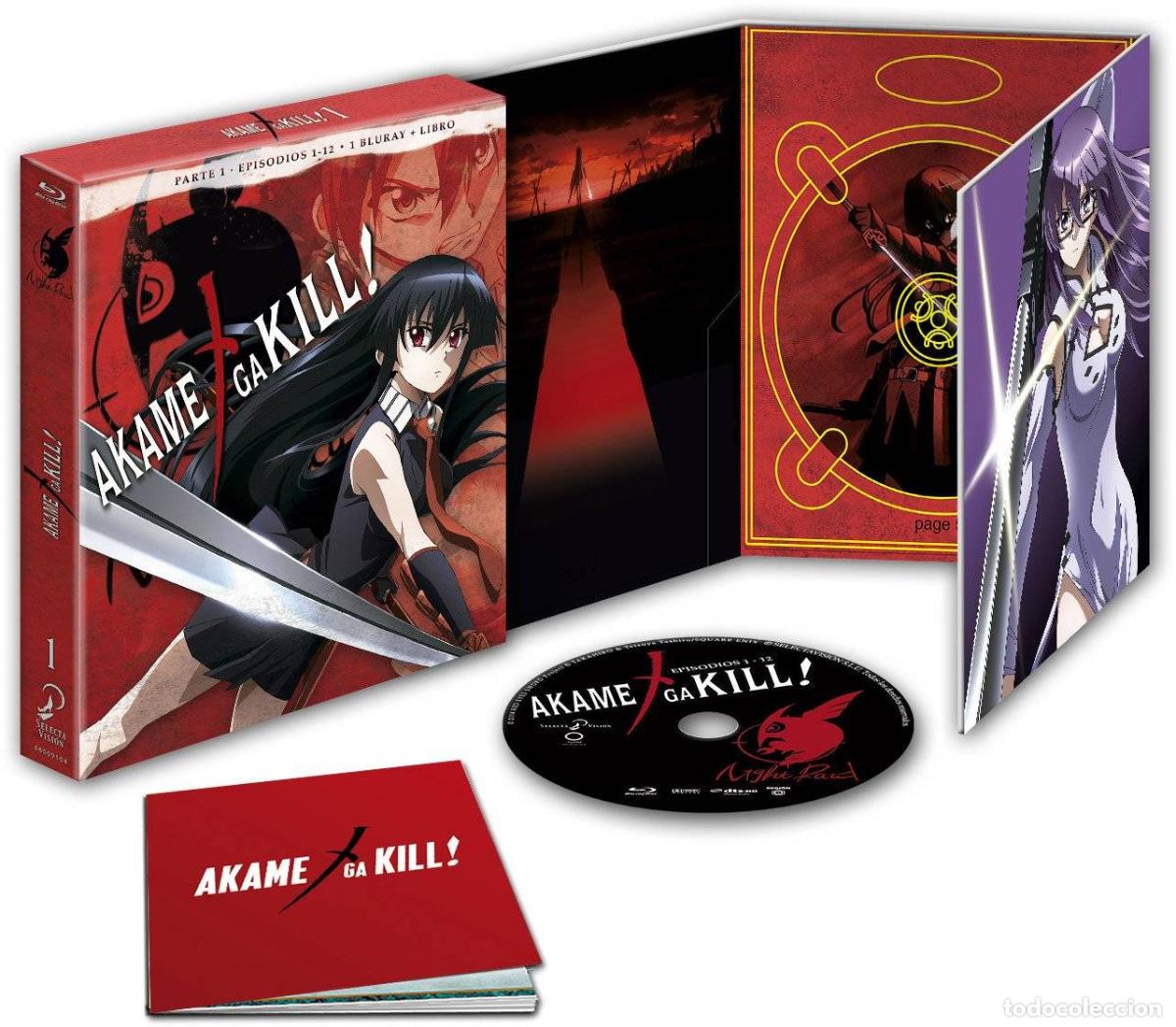 Serie di TV: Akame Ga Kill!! 1&ordf; Temporada (Blu-ray + Libro)