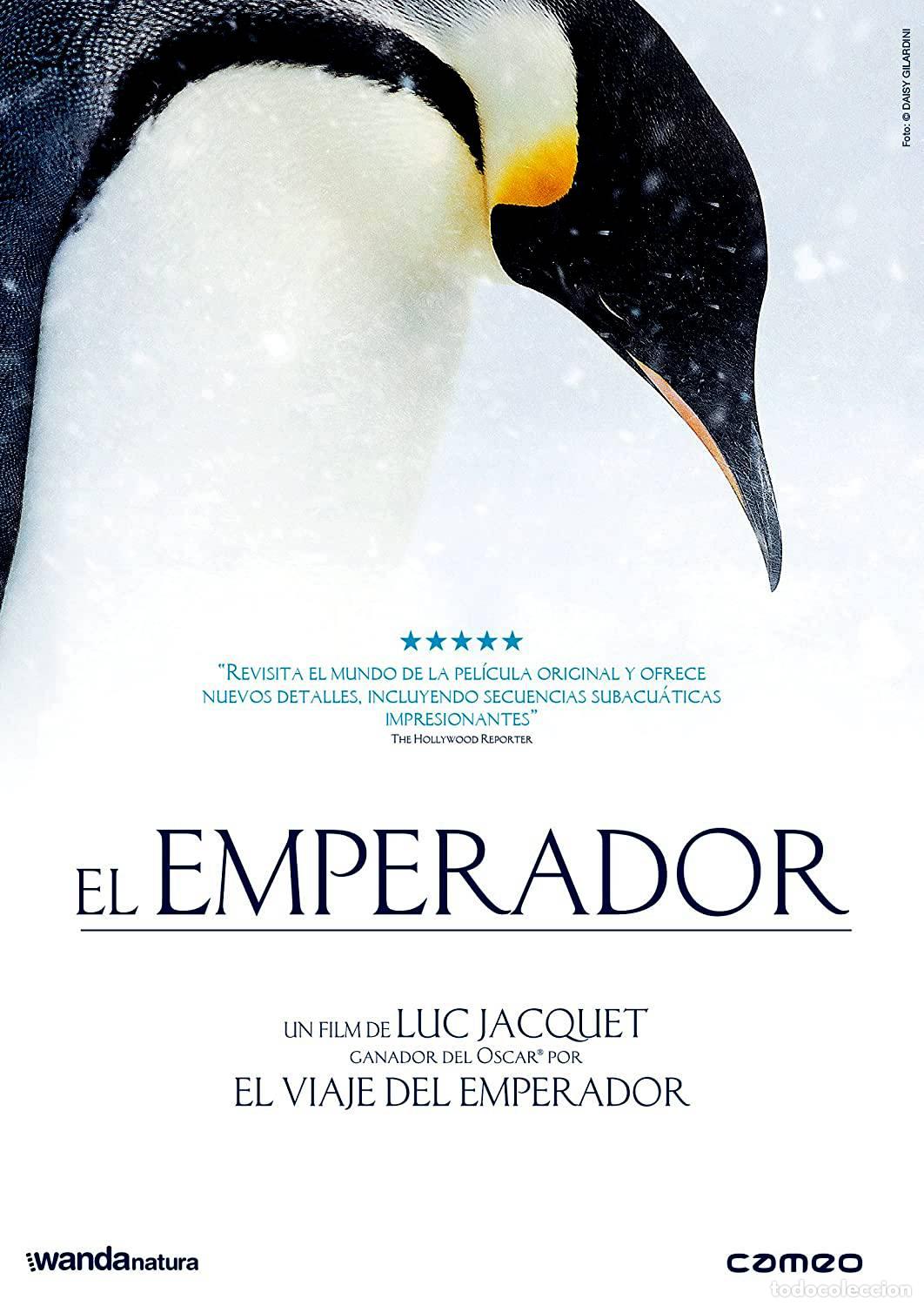 Series de TV: El Emperador (Lempereur) - Foto 1