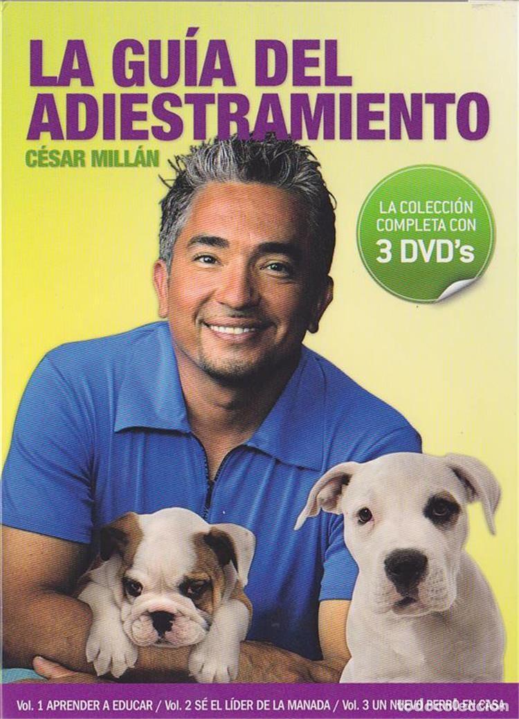 Series de TV: La Guia Del Adiestramiento - Coleccion Completa