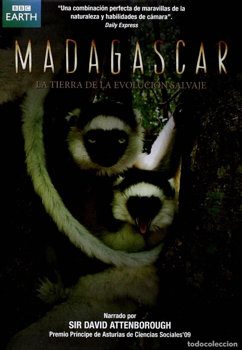 Series de TV: Madagascar - Foto 1