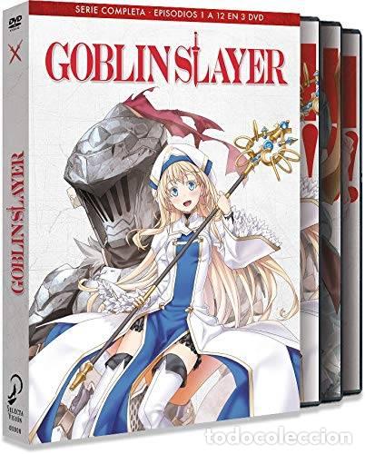 Series de TV: Goblin Slayer - Serie Completa - Foto 1