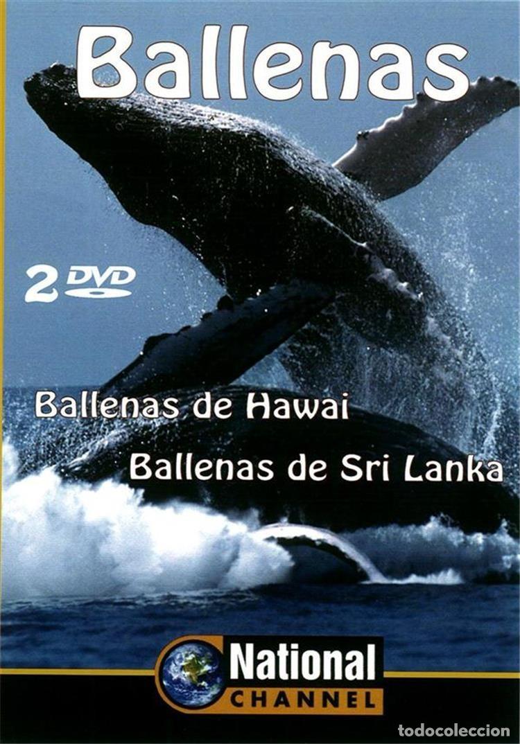 Series de TV: Ballenas (National Channel) - Foto 1