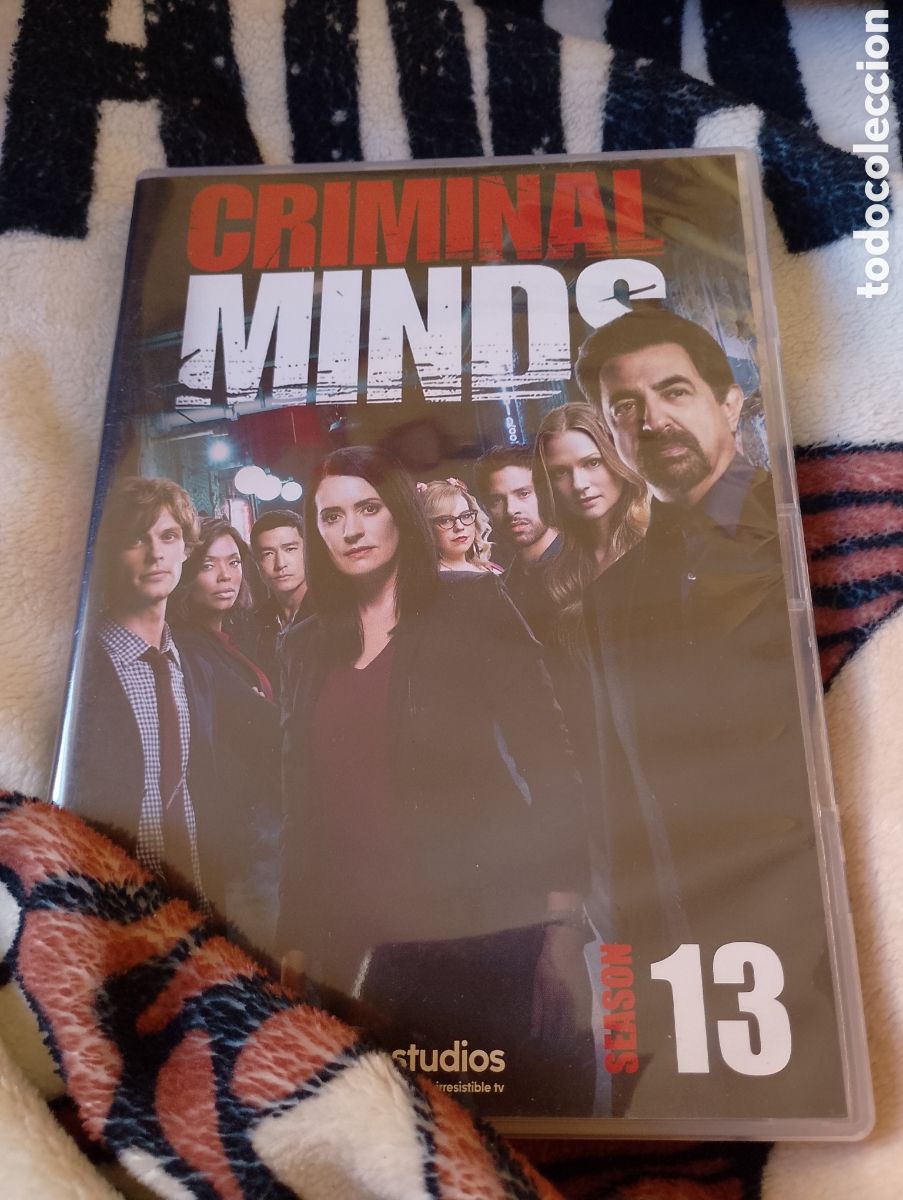 Series de TV: Mentes Criminales Temporada 13 CASTELLANO Mentes Criminales Serie Mentes Criminales DVD