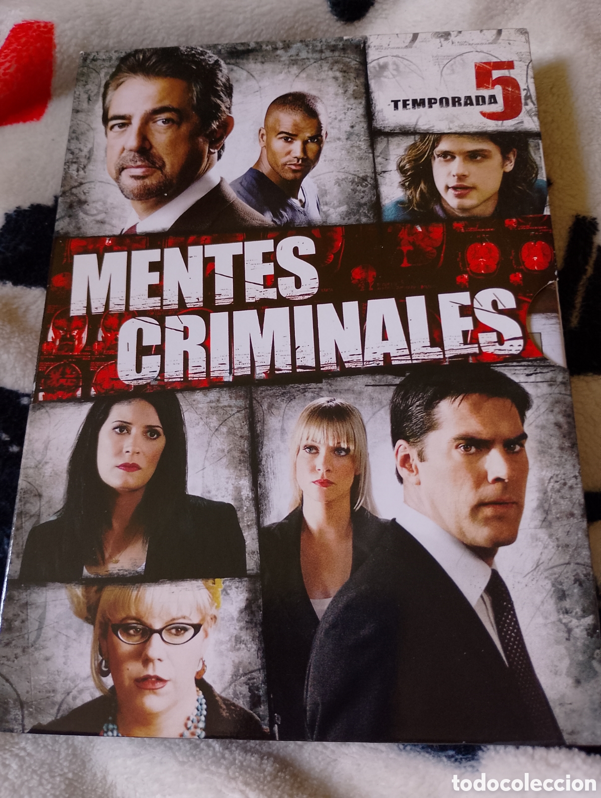 Series de TV: Mentes Criminales Temporada 5 DVD Mentes Criminales Serie Mentes Criminales DVD