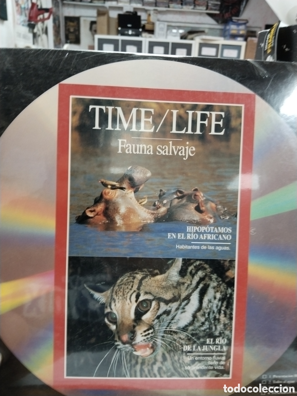 Series de TV: Lote de siete laserdisc de fauna y animales