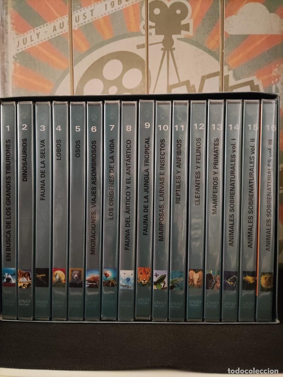 Series de TV: 16 DVD Precintados Maravillas del mundo animal BBC