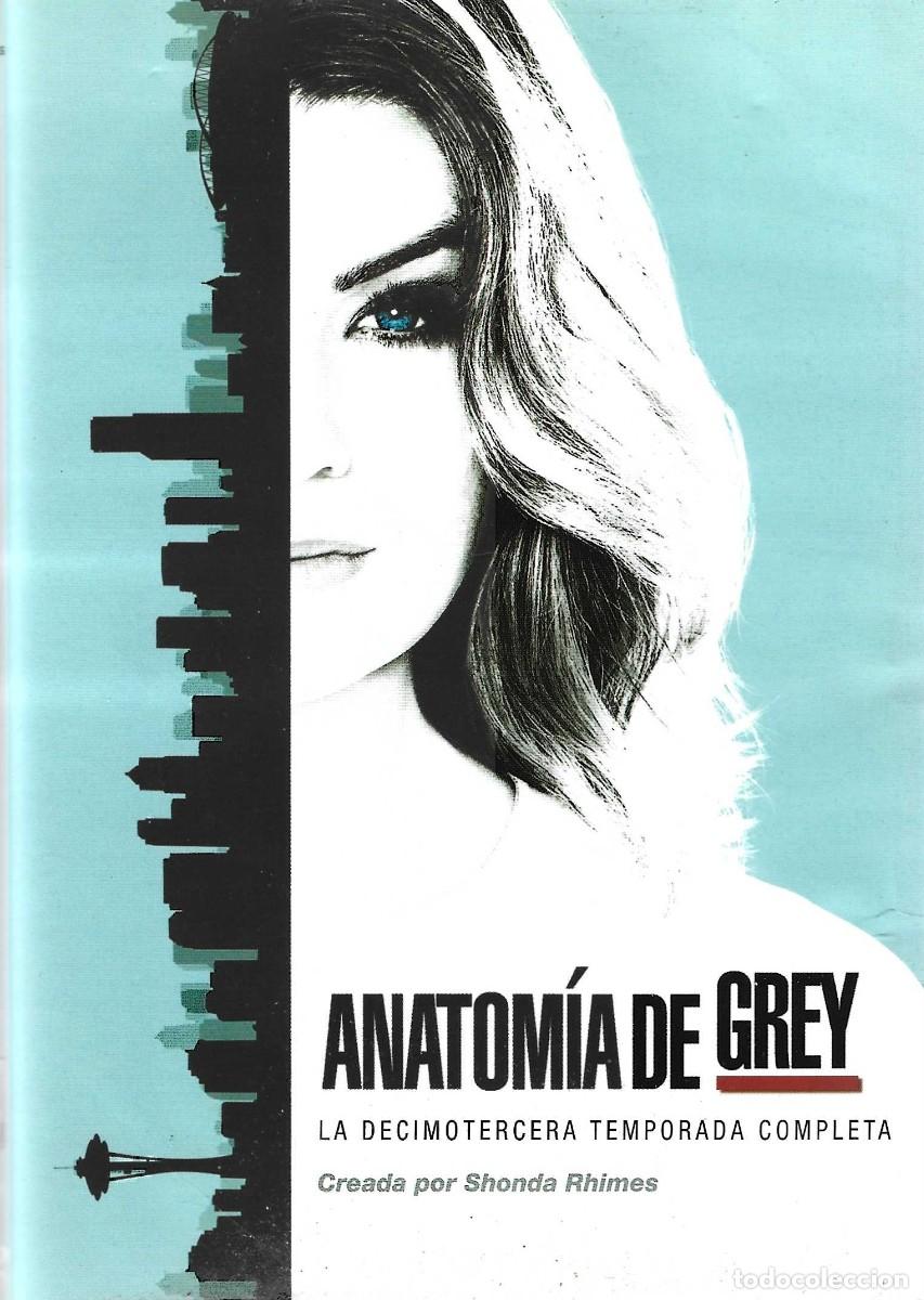 Series de TV: ANATOM&Iacute;A DE GREY LA DECIMOTERCERA TEMPORADA COMPLETA (6 DVD)