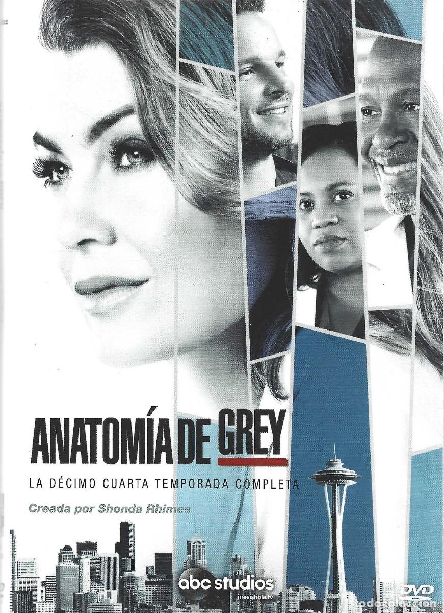 Series de TV: ANATOM&Iacute;A DE GREY LA D&Eacute;CIMO CUARTA TEMPORADA COMPLETA (6 DVD)