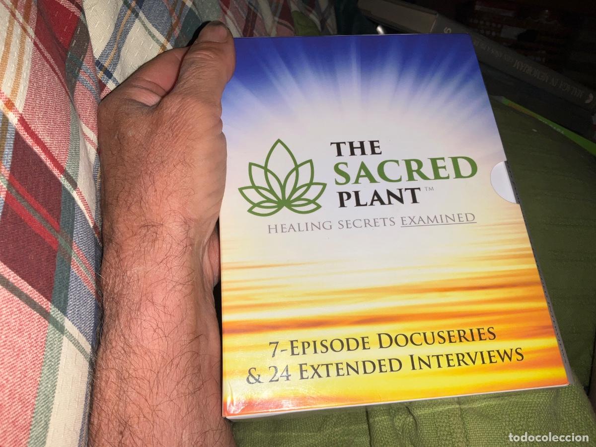 Series de TV: The Sacred Plant: Healing Secrets Exposed (7 Episode Docuseries & 12 Expert Interviews) Dvd