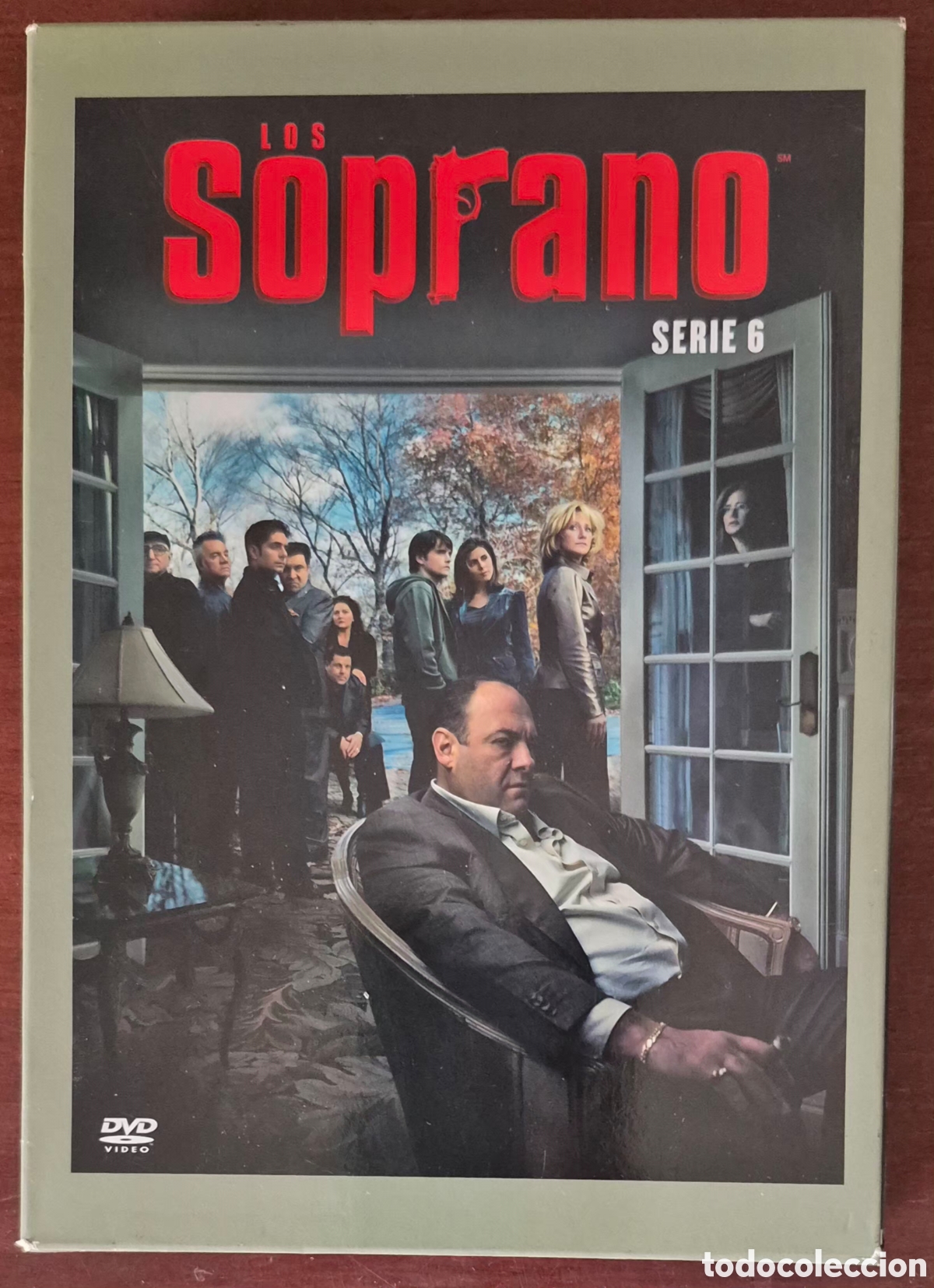 Series de TV: DVD X 4 DISCOS - LOS SOPRANO, SERIE 6