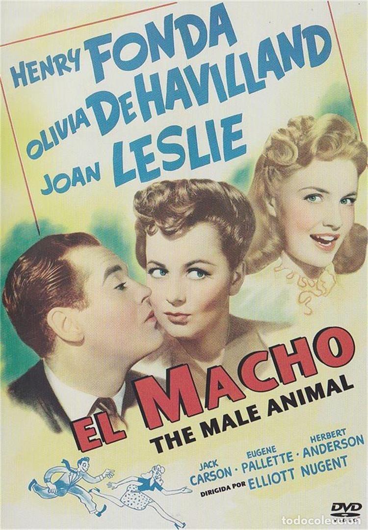 Fernsehserien: El Macho (The Male Animal)