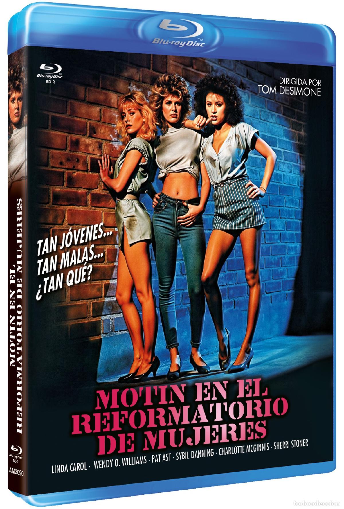 Series de TV: Mot&iacute;n en el reformatorio de mujeres (BdR) (Reform School Girls)