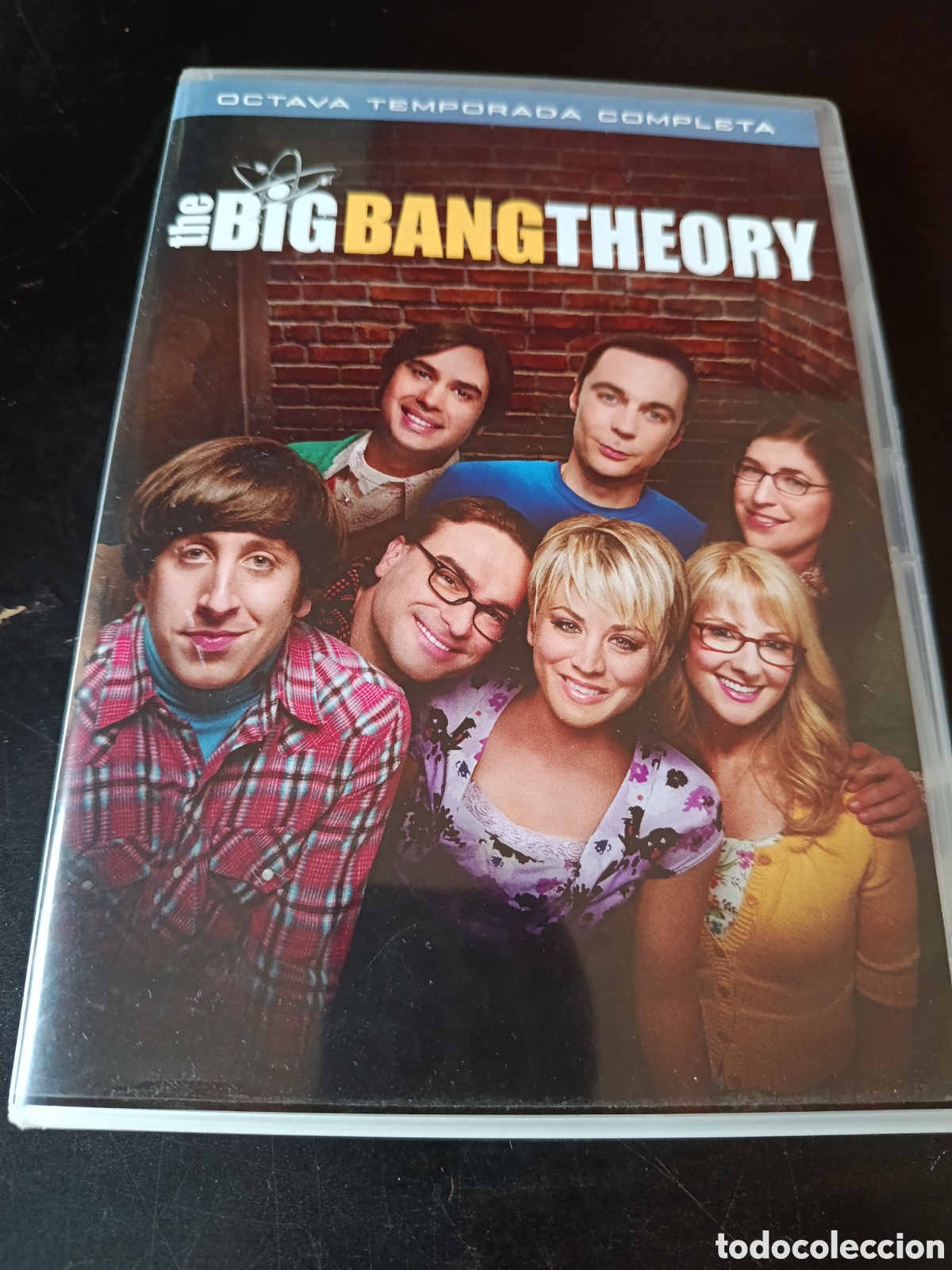 Series de TV: Dvd. The Big Bang Theory. Temporada 8.