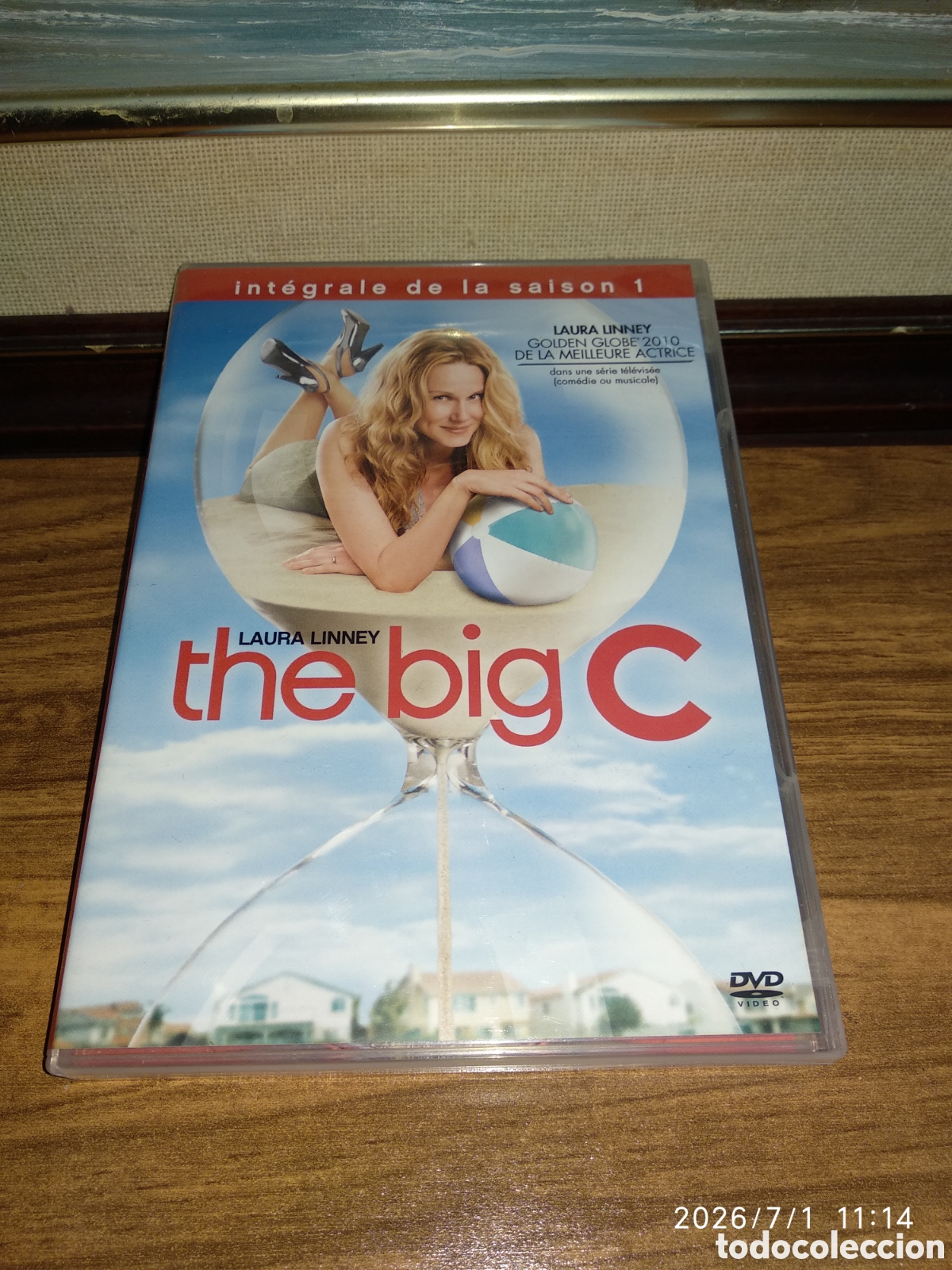 Series de TV: The Big C primera temporada en franc&eacute;s