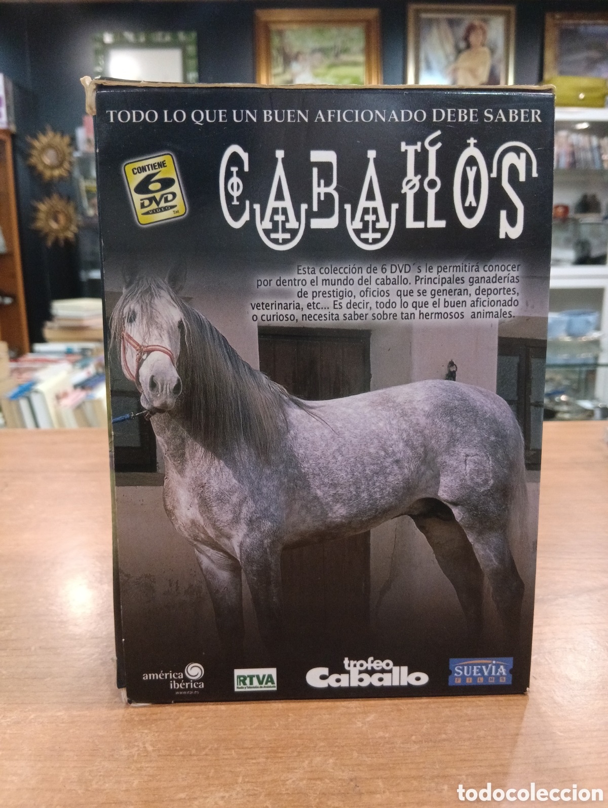 Series de TV: Lote de 6 DVD Caballos. Trofeo Caballo