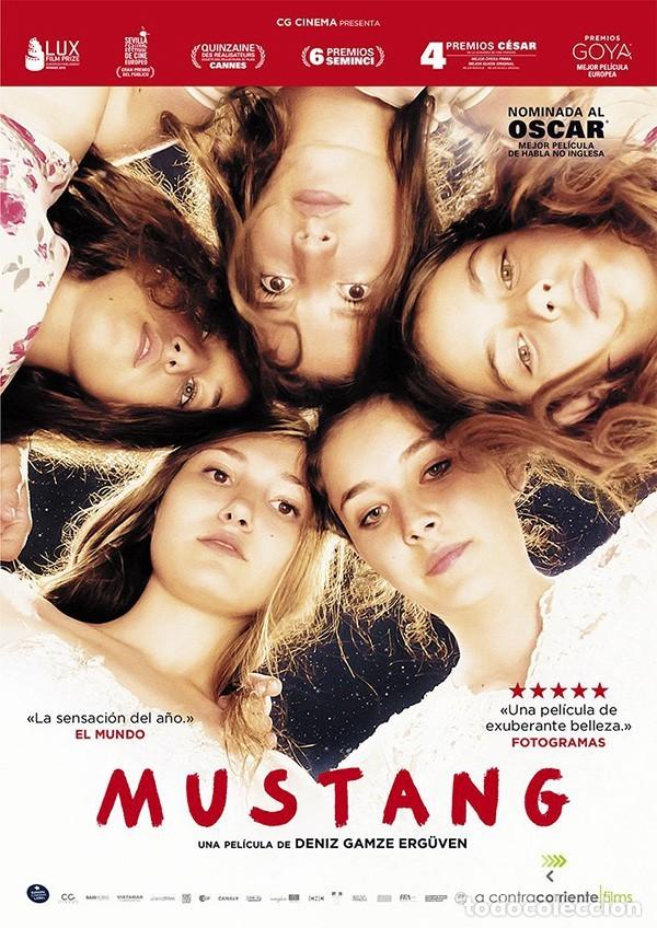 Fernsehserien: Mustang