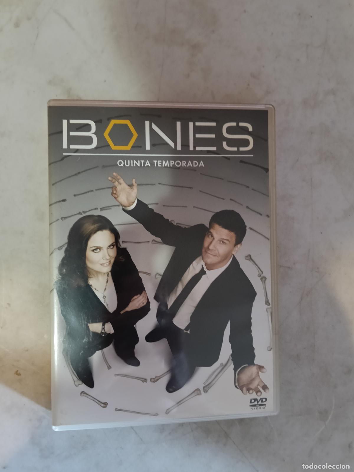 Series de TV: DVD - BONES - QUINTA TEMPORADA